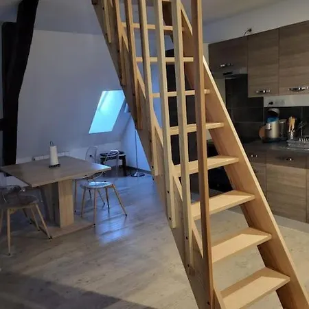 Apartamento Au Coeur Du Val D'Argent Duplex Atypique A Sainte-Marie-Aux-Mines Exterior foto